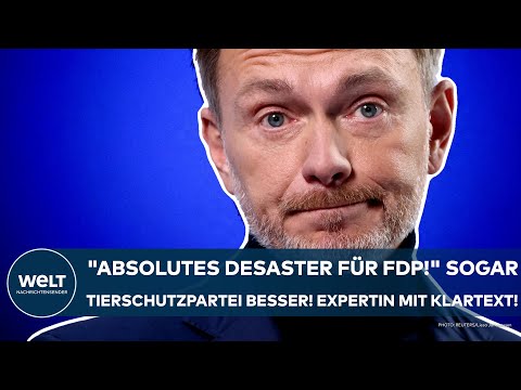 BRANDENBURG: "Absolutes Desaster für FDP!" Sogar die Tierschutzpartei besser! Expertin mit Klartext