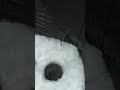 Video Thumbnail for Overnight Ice Fishing Monster Burbot