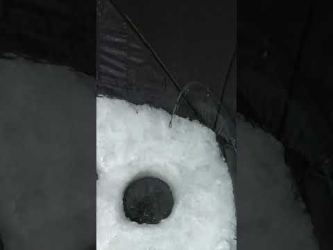 Overnight Ice Fishing Monster Burbot