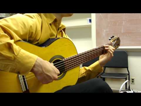 Super Fast Flamenco Guitar Left Hand Legato - Grisha Goryachev (2009)