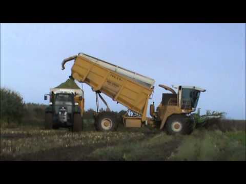 Loonw. Agri-Service - Molenbaix