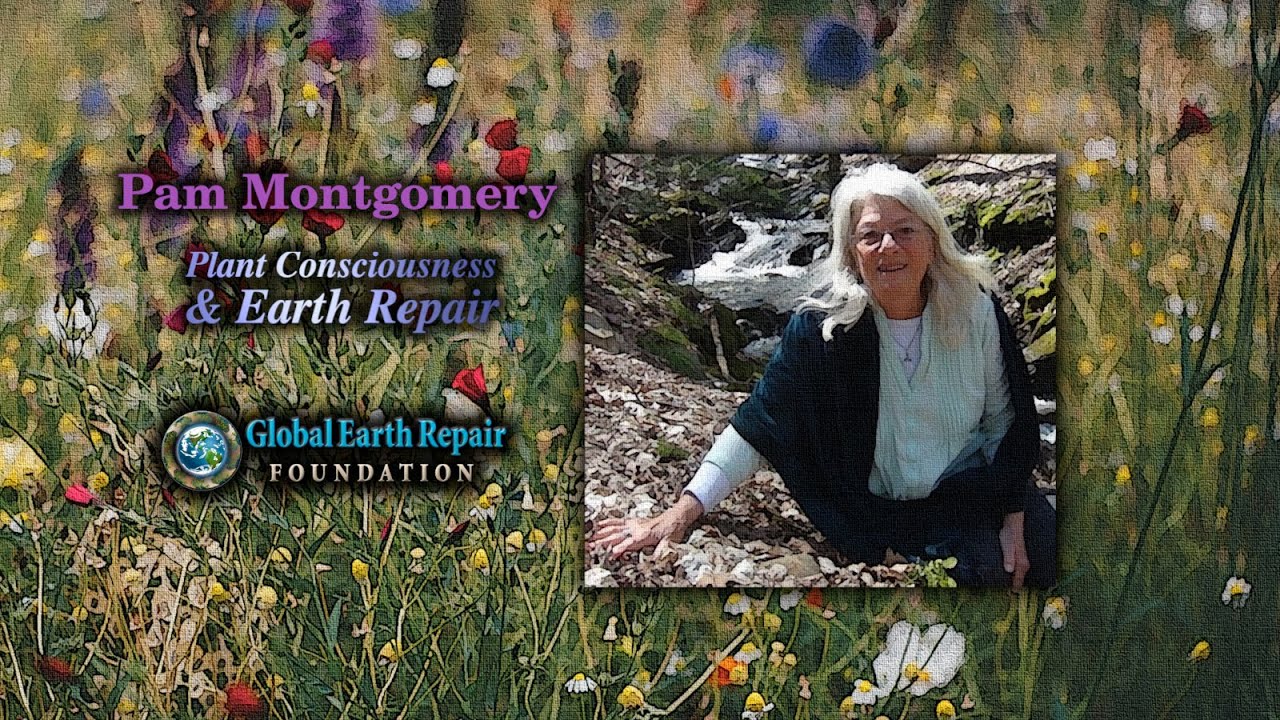 Allying with Plant Consciousness for Earth Repair - with Pam Montgomery