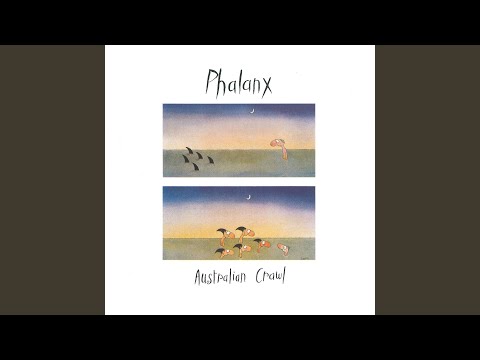 The Night - Australian Crawl