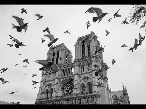 Hommage à Notre-Dame de Paris (Avril 2019)