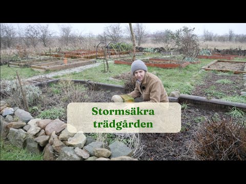 Storm-proof garden with bricks and grocery bags - Garden hacks by GardenR