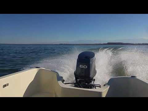 Yamaha 60FETOL  60hp  2t