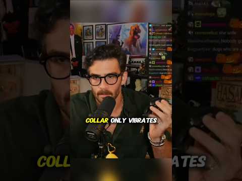 Respuesta de HasanAbi a las críticas por su perro Kaya