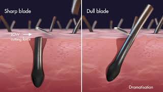 Helping prevent shaving rash | Science behind Gillette blades Precision Engineering