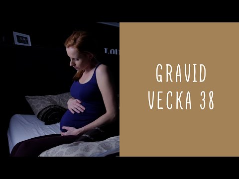 Gravid vecka 38