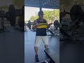 Using the Sling Shot for Biceps?
