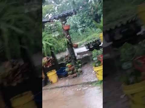 Saravena Arauca se conoce como una zona de alta pluviosidad