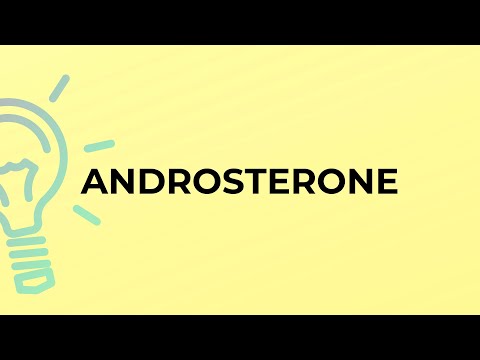 What is the meaning of the word ANDROSTERONE?