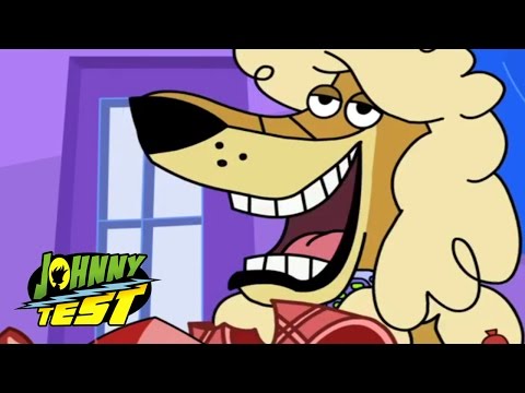 Johnny Test Full Episodes in English 🚀 Johnny vs The Dukenator // Johnny's Petting Zoo | 613