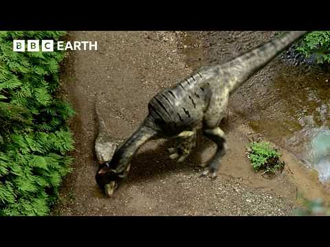 Stegosaurus vs Allosaurus Face-Off | Walking with Dinosaurs (1999) | BBC Earth
