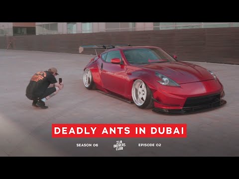 DEADLY ANTS IN DUBAI //S6 E2