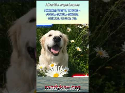 Amazing Tour of Heaven!