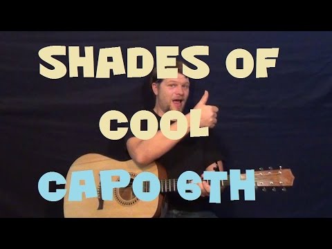 Shades of Cool (Lana Del Rey) Easy Guitar Lesson How to Play Tutorial
