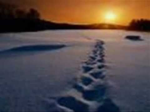 A Cada Flor - Perseverança - Música Espírita