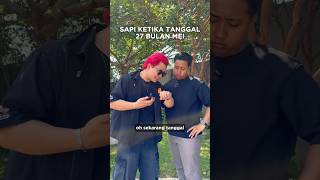 Download lagu May 27th 🐄🐮🦬 mp3 Download lagu May 27th 🐄🐮🦬 mp3