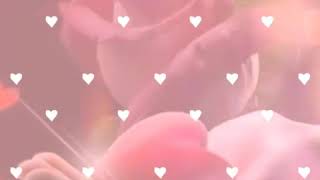 Con mis cinco sentidos,,,grupo Pegasso❤🌷🌻