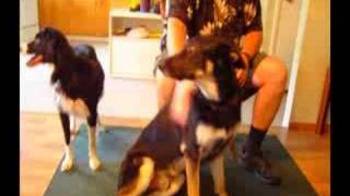 Inside Out Music Video