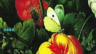 You look like rain - Morphine (bootleg - Neuraa)