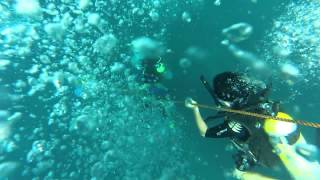 preview picture of video 'Diving in Nilaveli - Trincomalee with Elite Tours'