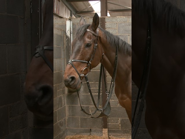 Thumbnail for Post ID: LPkkF6DfHcY