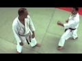 Bunkai Heian Yondan Lupo
