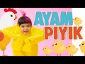 AYAM PIYIK MAZAYA Official Music Video