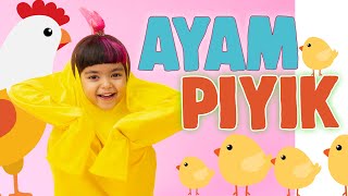 Download lagu AYAM PIYIK - MAZAYA mp3