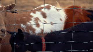 OPĆINA BRODSKI STUPNIK - PROJEKT "LIJEPA NAŠA SLAVONIJA!"