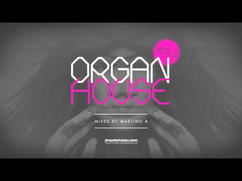 Martino B ● Organ House v003 (August 2015)