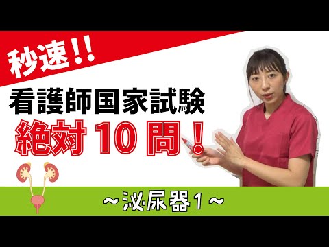 看護学科 【秒速ナース】泌尿器1　腎臓の構造【国試対策-授業動画】