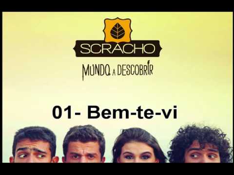 Bem-te-vi video