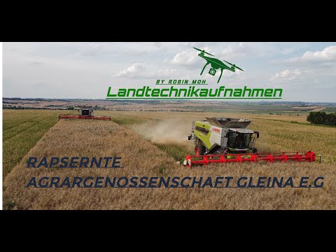 Raps Ernte 2021/ Agrargenossenschaft Gleina e,g
