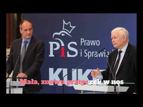 KUKIZ'82-23 (PARODIA: Aya RL - Skóra)