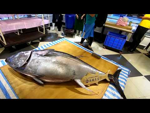 $70000 GIANT BLUEFIN TUNA cutting for SashimiTaiwan seafood