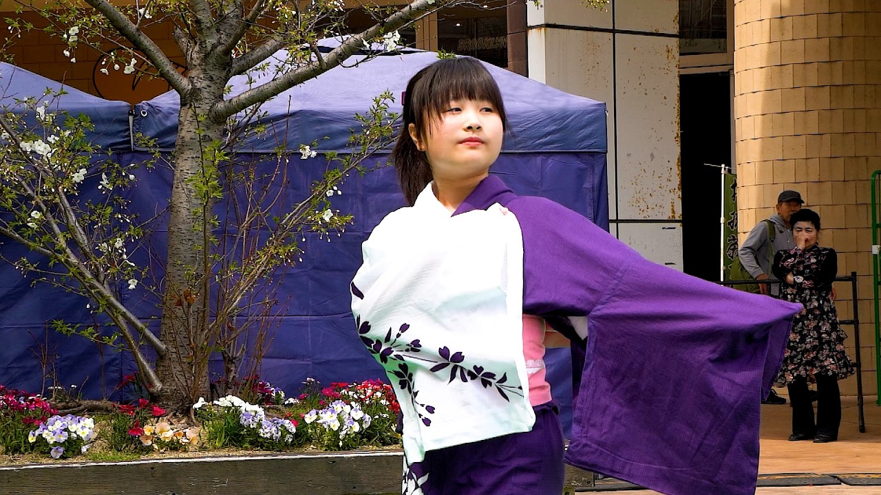 日本舞踊 ゆうび　第17回「さくらウォークfrom ベイサイド 」 第2部