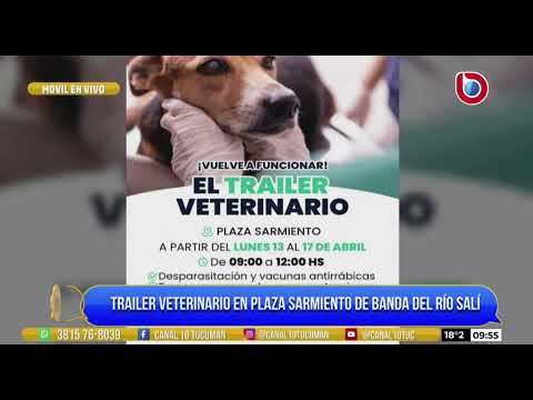 Atención veterinaria en el municipio de Banda del Río Salí