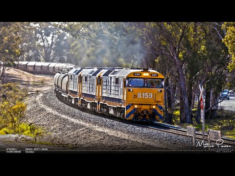 2020 09 14 - Pacific National loaded grain train - #7936V - 8159 + 8137 + 8146
