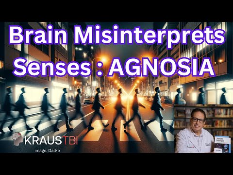 The Enigma of Agnosia: When the Brain Misinterprets the Senses Dr Kraus #neurosurgeon #brain #tbi