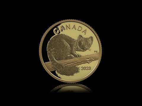 Pure Gold Coin – Curious Marten – Mintage: 3,000 (2023)