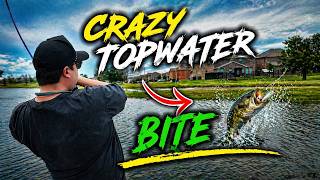 The Topwater Bite Was ON FIRE 🔥(Bass Fishing Ponds in Fort Worth, TX)