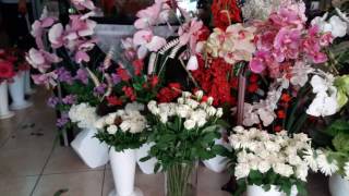 Antalya Çiçek Gönder 02423453210 Orkide sipariş saksıda çiçek sipariş 