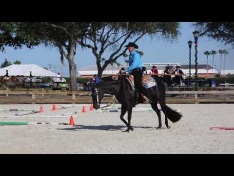 Ode To Zippo and Bruce Vickery win High Point in Senior Trail