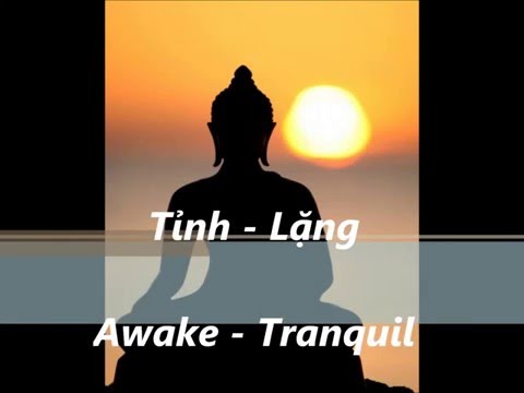 Tinh Lang - Awake - Tranquil -  TK Tue Giac  - Bao Yen