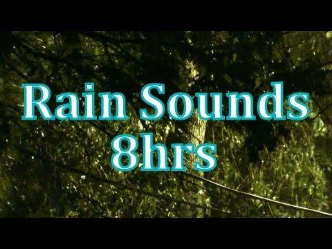 'Rain' 8 hours of 'Rain Sounds' 'Sleep Sounds' ASMR