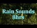 "Rain" 8 hours of "Rain Sounds"    "Sleep Sounds" ASMR