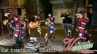 Video de Mariachi Veracruz Pasto
